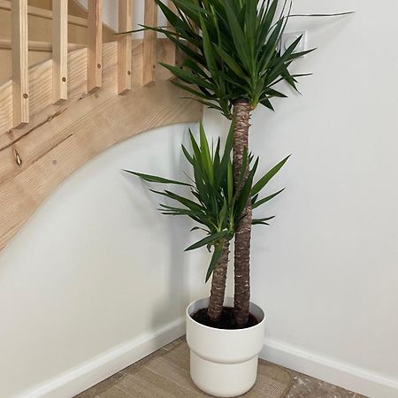 L Appartement Sete Magnifique Duplex Climatise Esterno foto