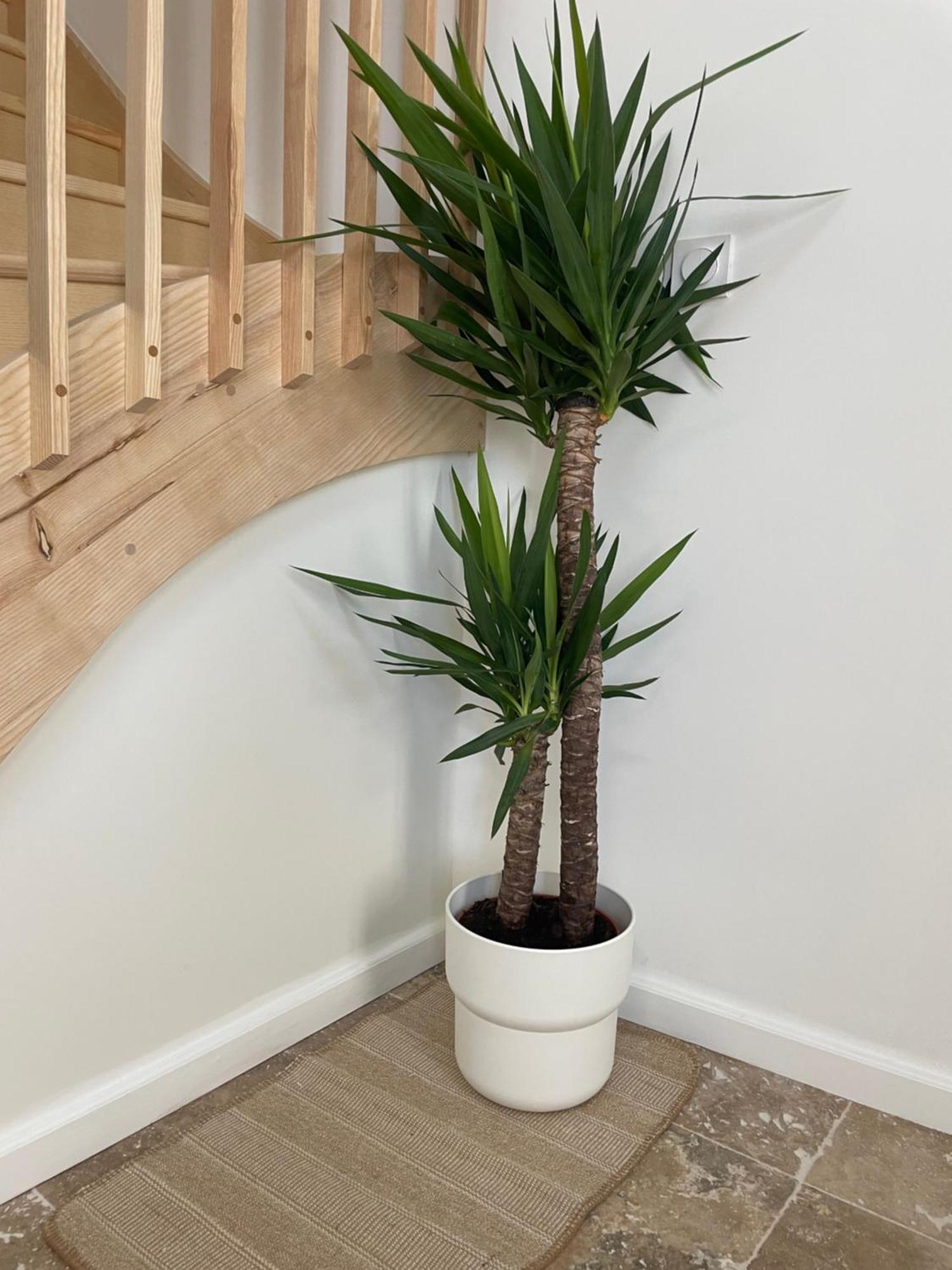 L Appartement Sete Magnifique Duplex Climatise Esterno foto